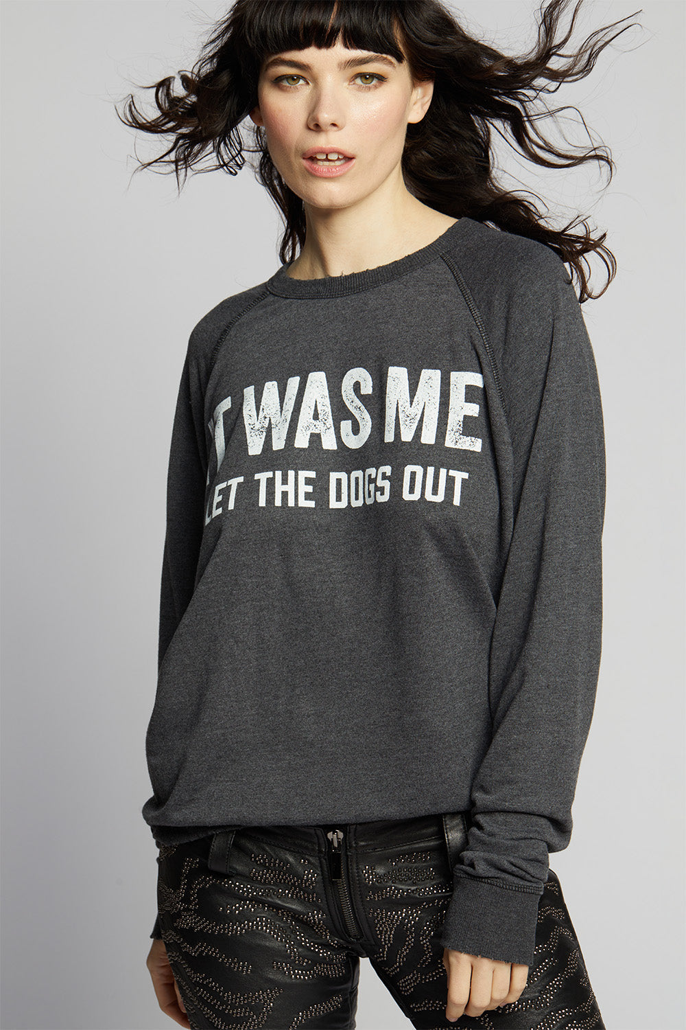 I Let The Dogs Out Sweatshirt