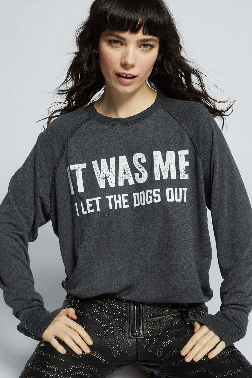 I Let The Dogs Out Sweatshirt
