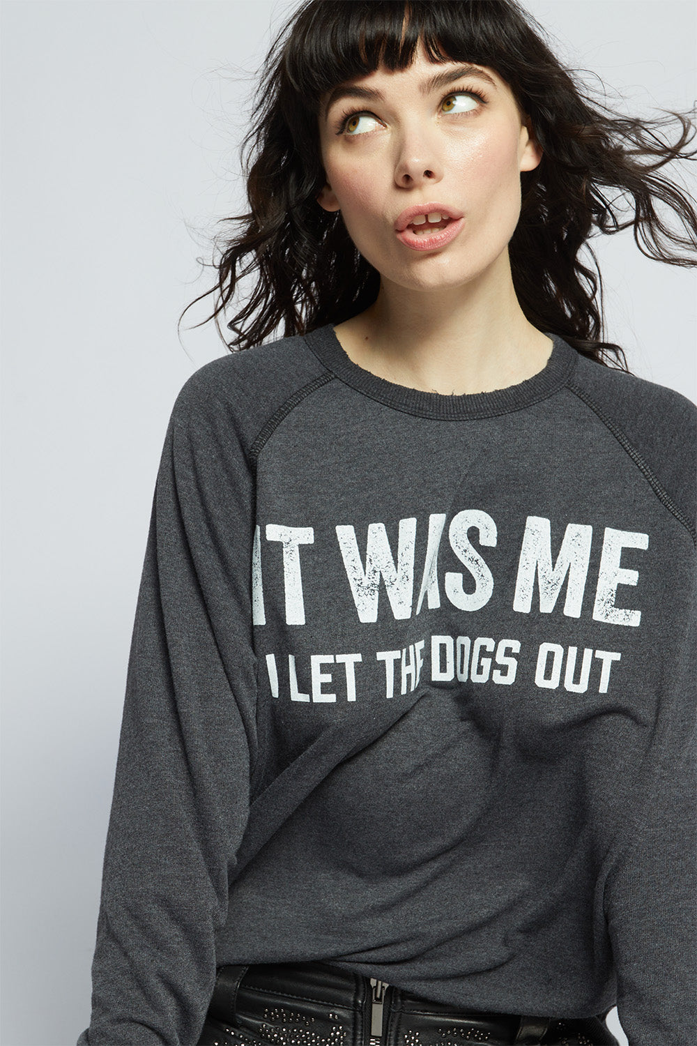 I Let The Dogs Out Sweatshirt
