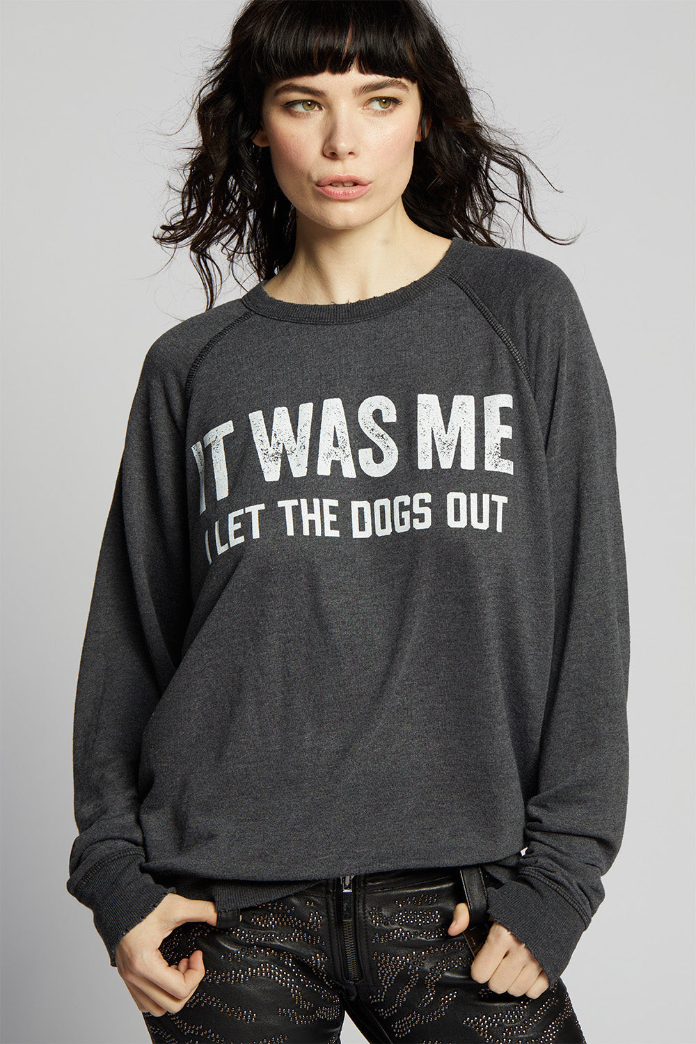 I Let The Dogs Out Sweatshirt